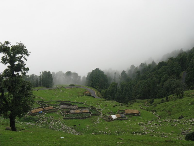 [Photograph: Chaans below Chopta]