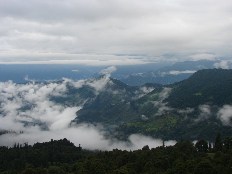[Photograph: Early morning at Chopta]