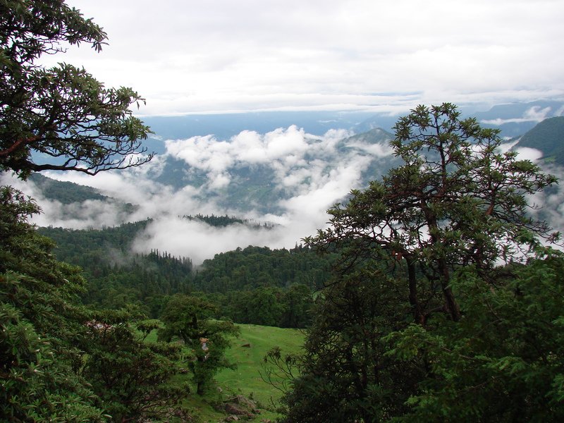 [Photograph: Bugiyal at Chopta]