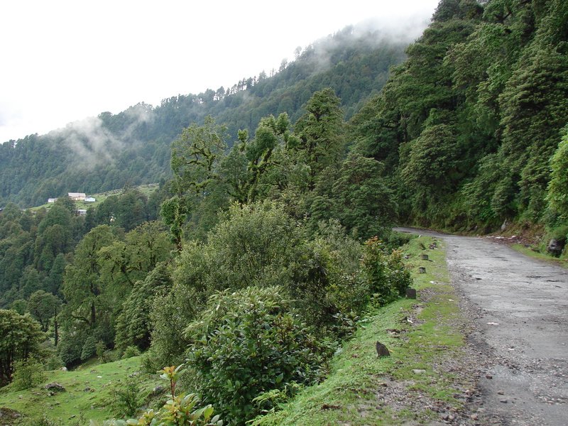 [Photograph: Road to Mandal]