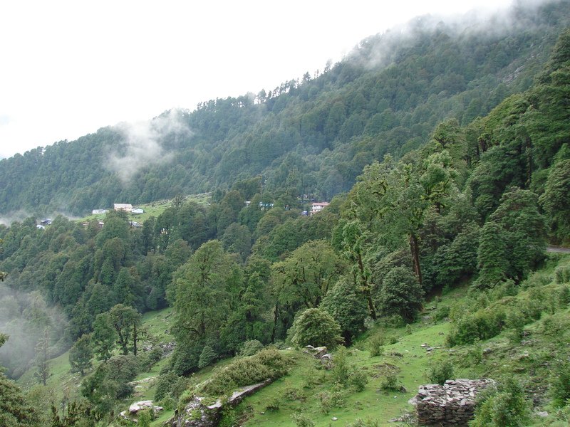 [Photograph: View of Chopta]