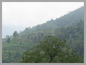 [Thumbnail: Fields at Sari]