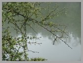 [Thumbnail: Devriya Tal]