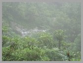 [Thumbnail: From the trail to Tungnath]