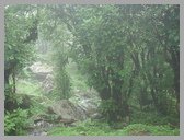 [Thumbnail: On the way to Tungnath]