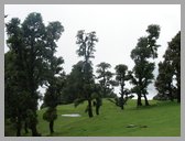 [Thumbnail: On the way to Tungnath]