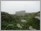 [Thumbnail: Near Chandrashila]